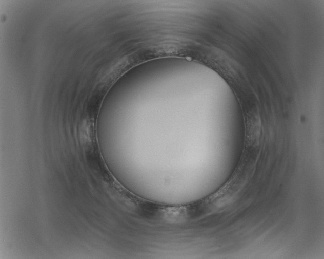 X0000068900126200605081355