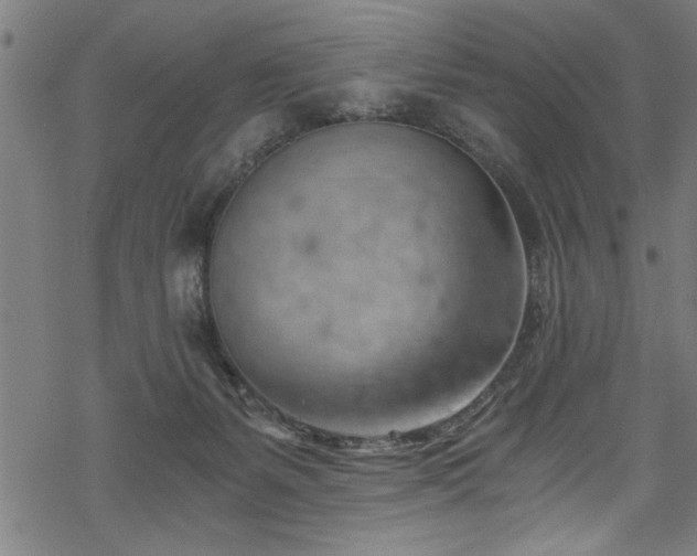 X0000068900127200605081355