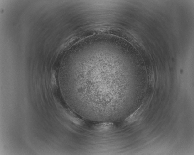 X0000068900128200605081355