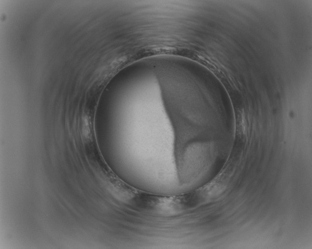 X0000068900130200605081355