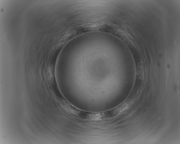 X0000068900131200605081355