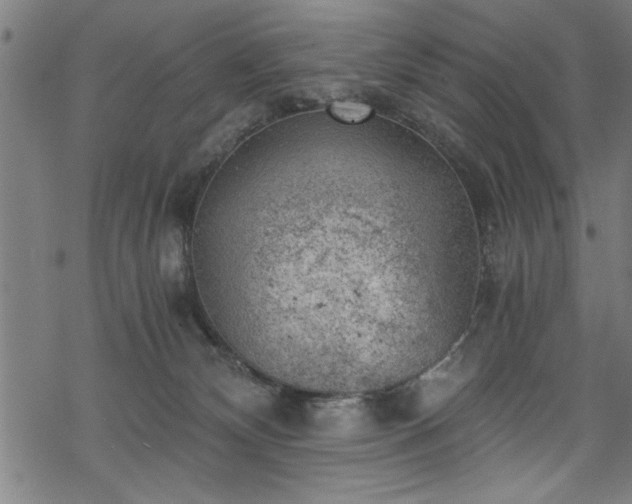 X0000068900132200605081355