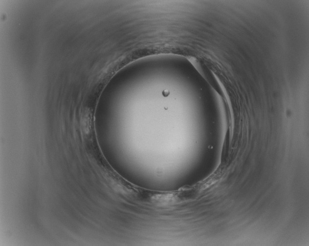 X0000068900133200605081355