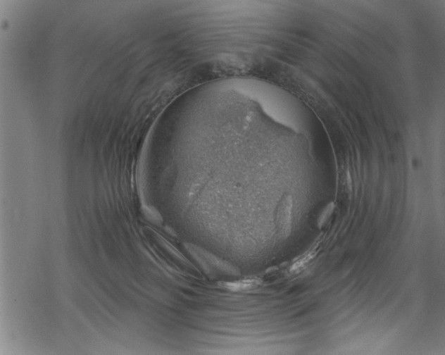 X0000068900134200605081355