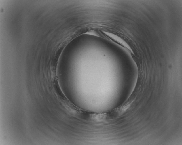 X0000068900135200605081355