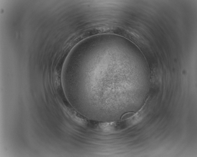 X0000068900136200605081355