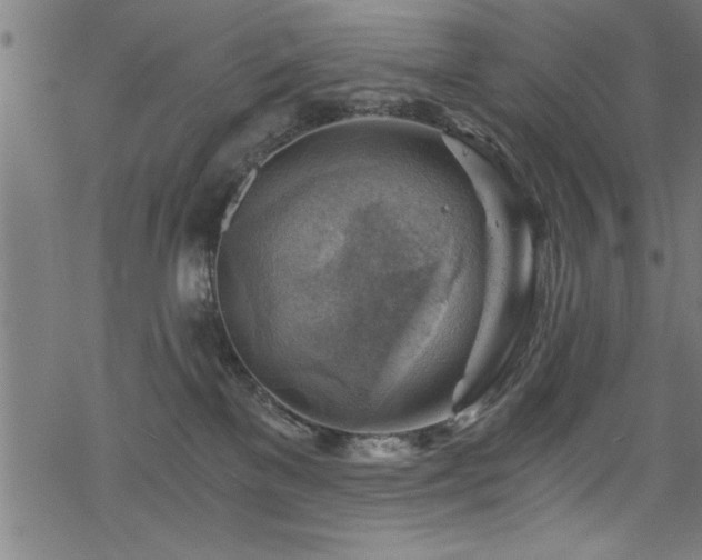 X0000068900137200605081355