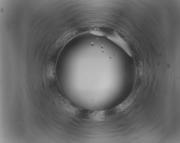 X0000068900138200605081355