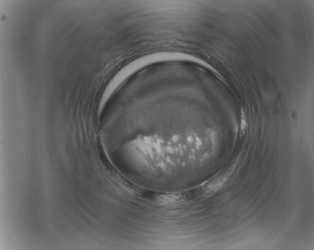 X0000068900139200605081355