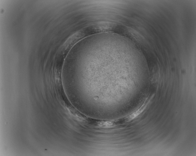 X0000068900140200605081355