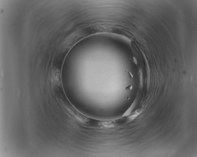 X0000068900141200605081355