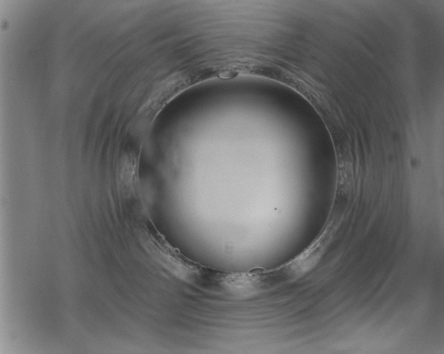 X0000068900142200605081355