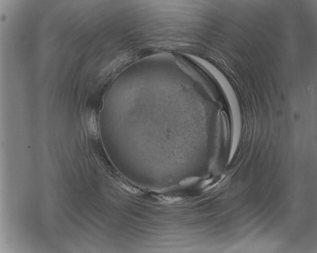 X0000068900143200605081355