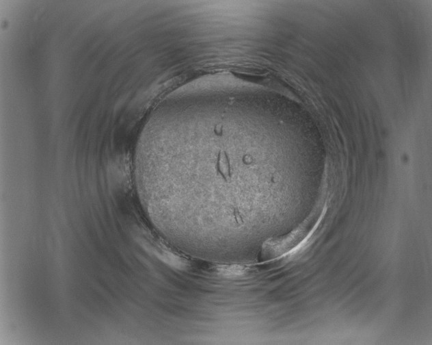 X0000068900144200605081355