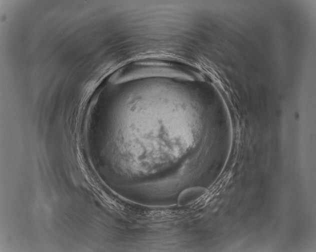 X0000068900145200605081354