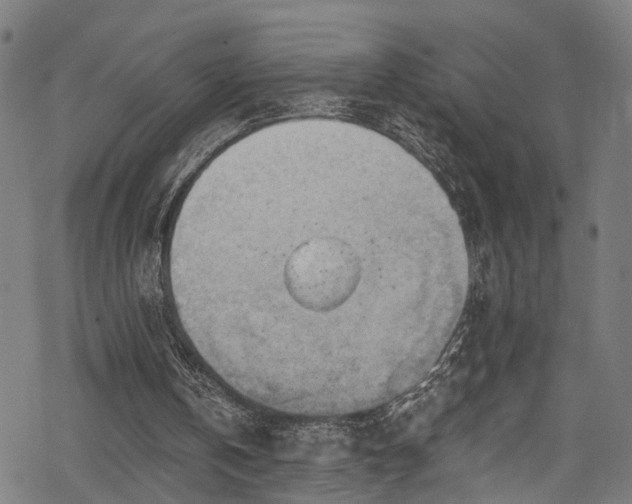 X0000068900146200605081354