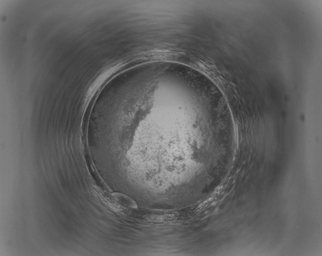 X0000068900147200605081354