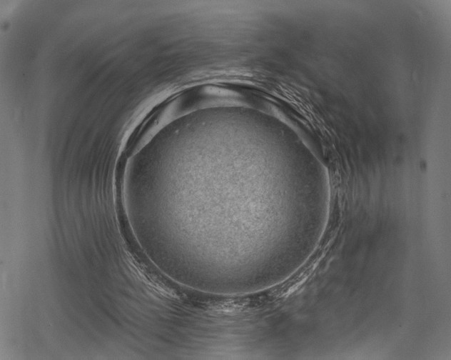 X0000068900148200605081354