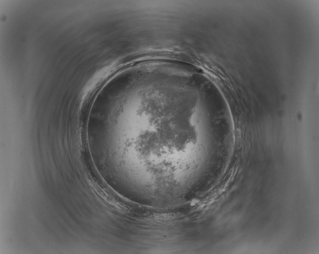 X0000068900149200605081354