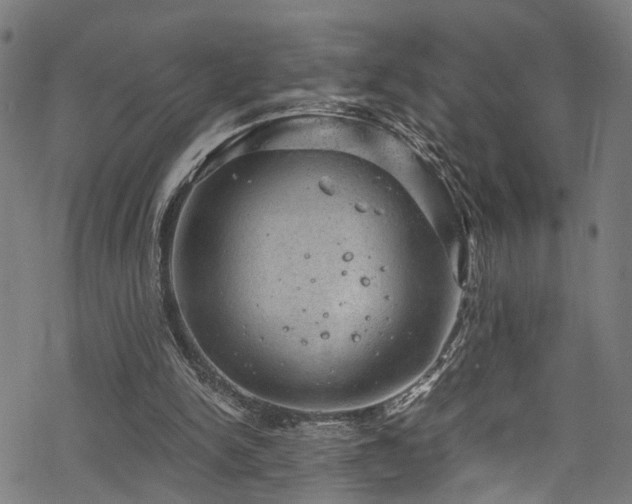 X0000068900150200605081354