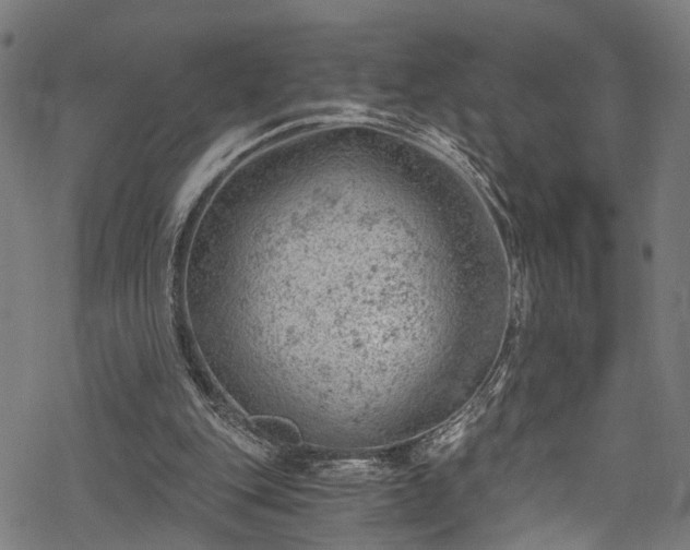 X0000068900151200605081354