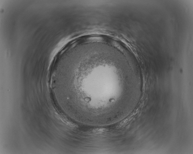 X0000068900152200605081354