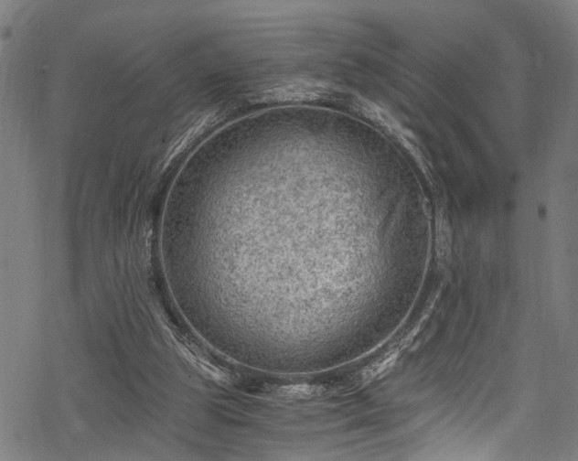 X0000068900153200605081354