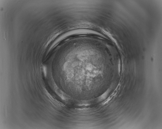 X0000068900154200605081354