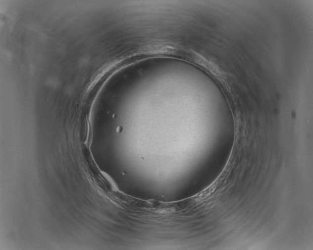 X0000068900155200605081354