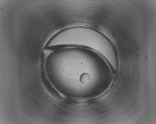 X0000068900156200605081354