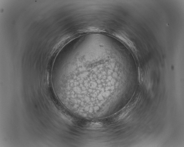 X0000068900157200605081354