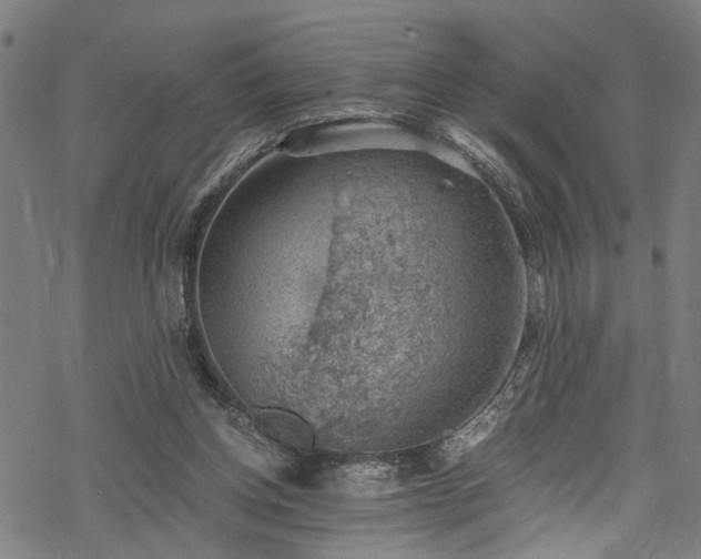 X0000068900158200605081354