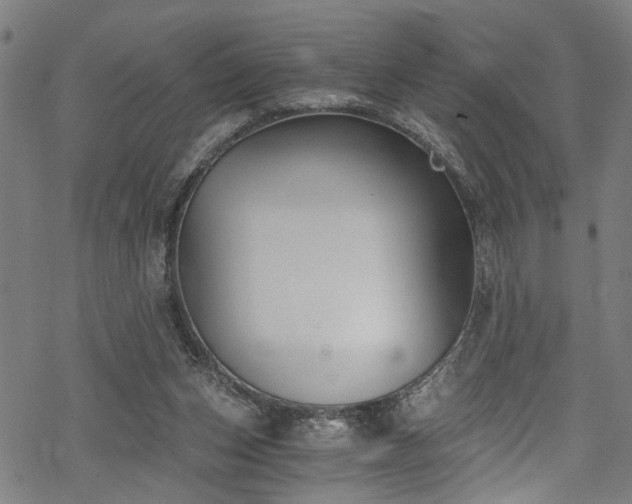 X0000068900159200605081354