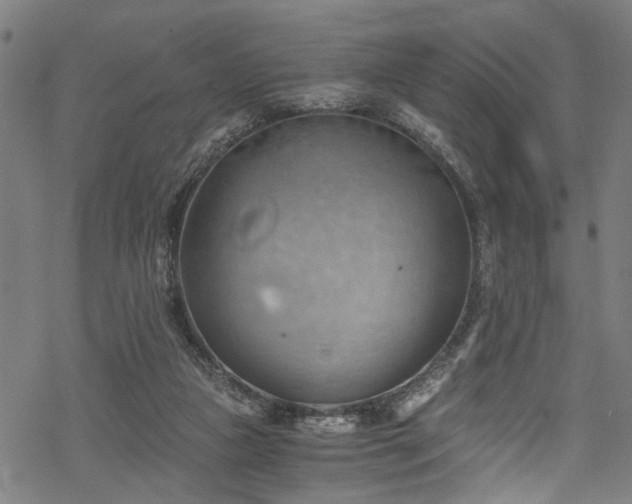 X0000068900161200605081354