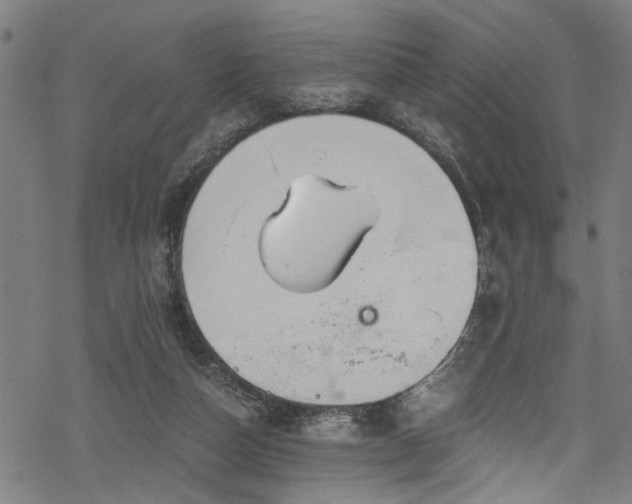 X0000068900162200605081354