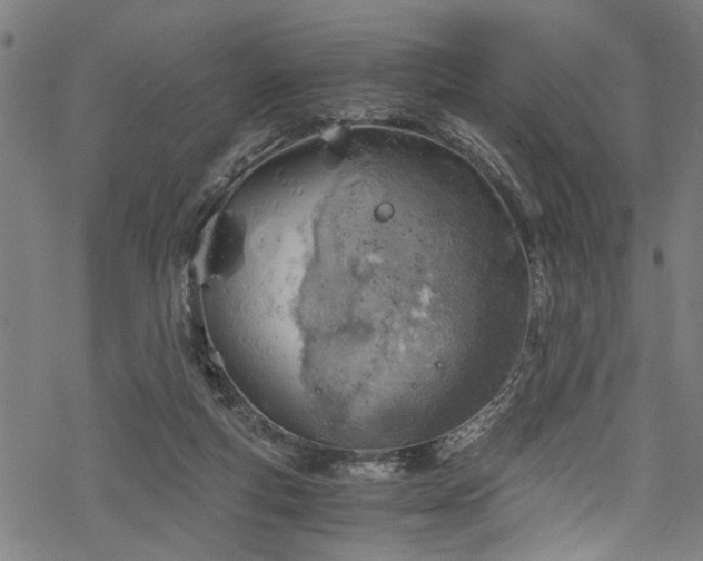 X0000068900163200605081354