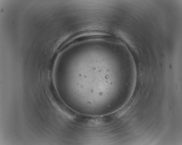 X0000068900164200605081354