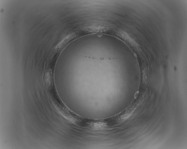 X0000068900165200605081354