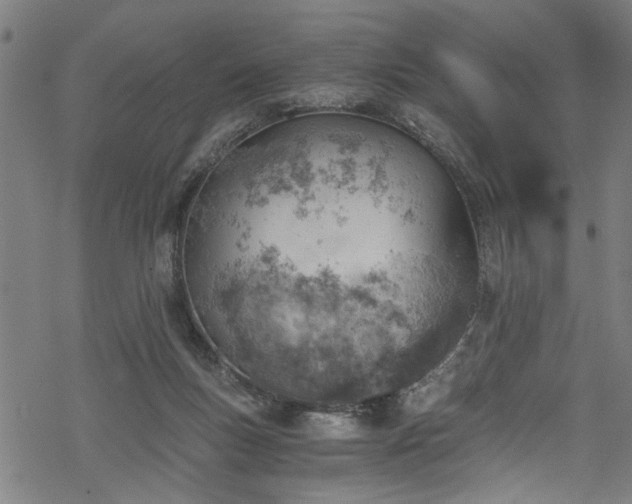 X0000068900167200605081354