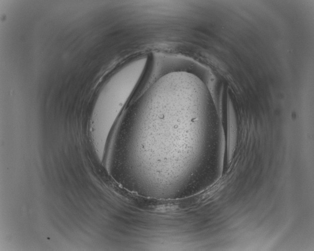 X0000068900168200605081354