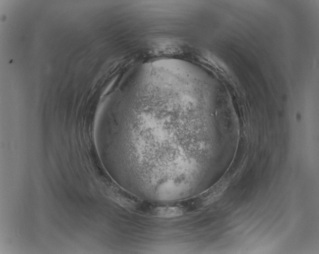 X0000068900169200605081354