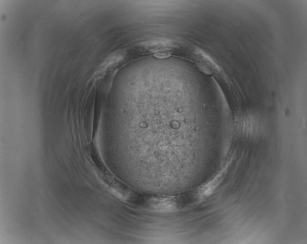 X0000068900170200605081354