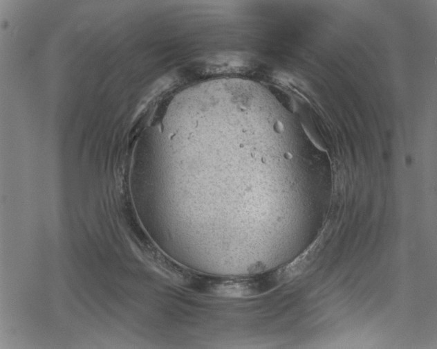 X0000068900171200605081354