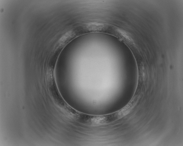 X0000068900172200605081354