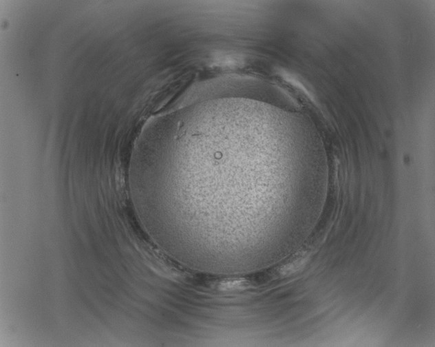 X0000068900173200605081354