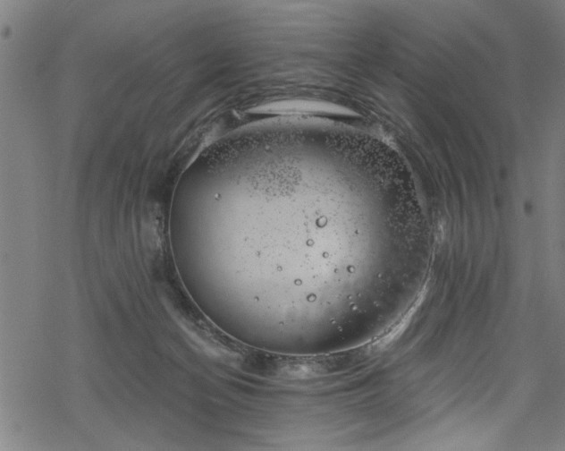 X0000068900174200605081354