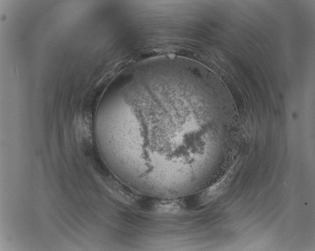 X0000068900175200605081354