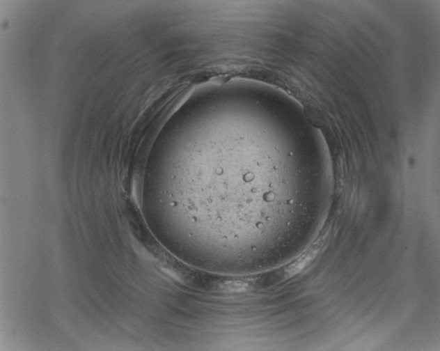 X0000068900176200605081354