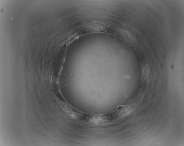 X0000068900177200605081354