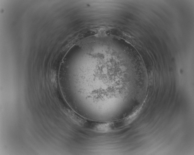 X0000068900178200605081354